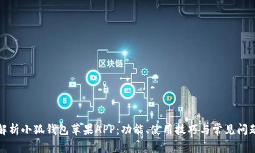 全面解析小狐钱包苹果APP：功能、使用技巧与常见问题解答