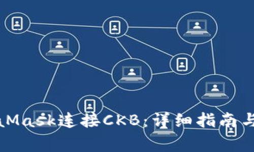 如何使用MetaMask连接CKB：详细指南与常见问题解答