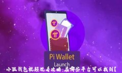 小狐钱包视频观看攻略：