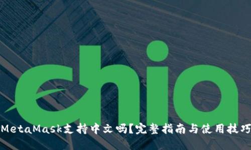 MetaMask支持中文吗？完整指南与使用技巧